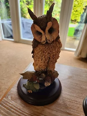 Country Artists Long Eared Owl CA 397 • £1