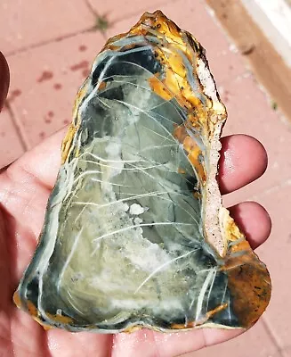 Morrisonite Jasper Slab Rough  • $110