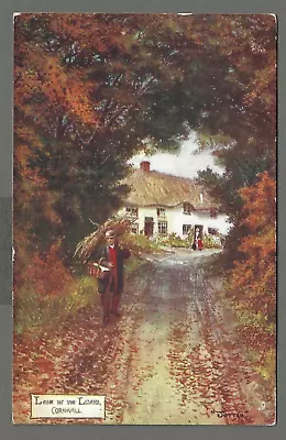 £2.50 • Buy Vintage Oilette Postcard Lane In The Lizard, Cornwall By JOTTER. Pmk 1905