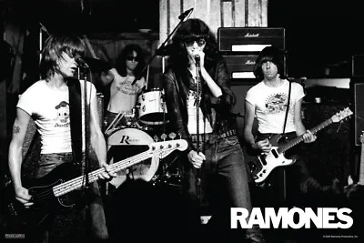 $10.98 • Buy Ramones Band Live Concert Photo Vintage Classic Punk Rock Music Poster 12x18