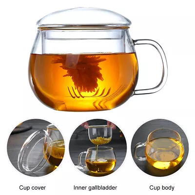 Glass Tea Cup Coffee Milk Cup With Tea Infuser Filter Lid Use For Home Teacup • $17.69