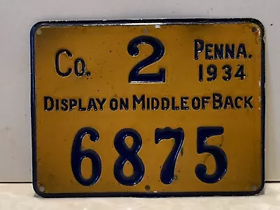 1934 PENNA. METAL HUNTING LICENSE  Co. 2 Allegheny County VINTAGE OLD ANTIQUE PA • $39