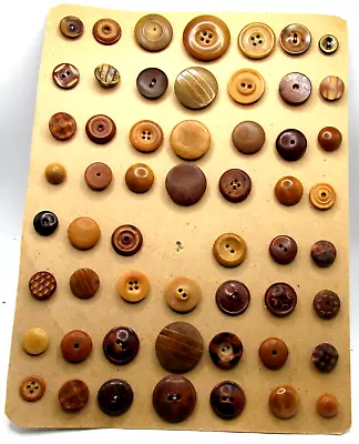 Lot Of 55 Vegetable Ivory Buttons On Collector Card ~some Whistles A31 • $19.99
