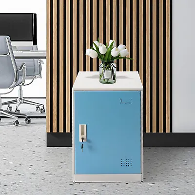 Employee Office School Storage Locker Storage Cabinet Metal Bin Cabinet • $72.20