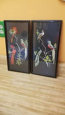 Pair Of Vintage Real Feathered Bird Art Hanging Wall Decor Black Frames  • $40