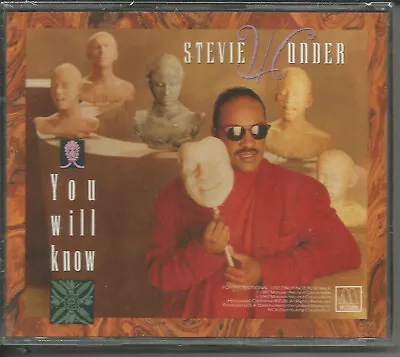 STEVIE WONDER You Will Know INTERVIEW & INSTRUMENTAL MINI 3 INCH CD Single CD3   • $34.99