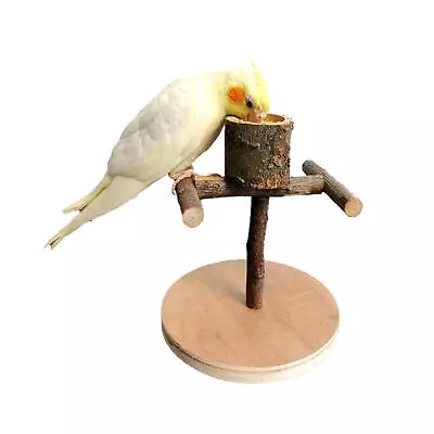 Bird Training Stand Portable Playing Durable Wood Practical Wooden Perch Toy • $13.56