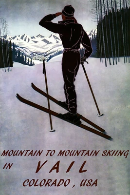 $13.95 • Buy 361157 Mountain Skiing In Vail Colorado Art Decor Wall Print Poster