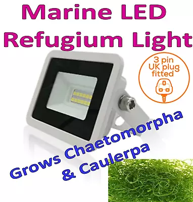 Marine Refugium Led Light Chaeto Caulerpa Macro Algae Sump Tank Fish Reef • £24.99