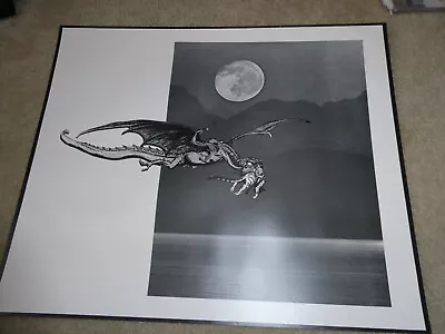 Unique Photograph Computer Art Poster Flying Dinosaur 20x24  • $28