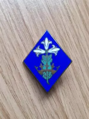 Girl Guide East Cambridgeshire Metal County Badge • £4.99