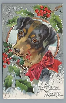 Cute Puppy Dog A Merry Xmas CHRISTMAS Vintage Postcard • $4.99