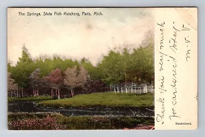 Paris MI-Michigan The Springs State Fish Hatchery Vintage C1907 Postcard • $7.99