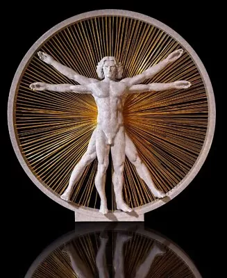 Vitruvian Man 3d Printed Model • $44