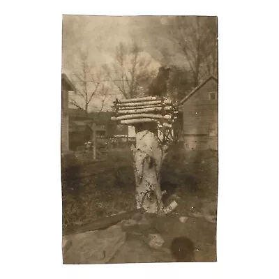 Vintage Snapshot Photo Dog In Treehouse 1920s Farm Rural Photograph • $3