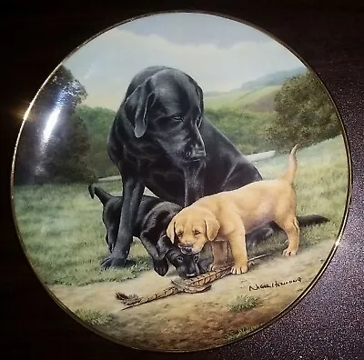 £9.99 • Buy Franklin Mint Plate Spring Training Dogs Black Golden Labradors By Nigel Hemming