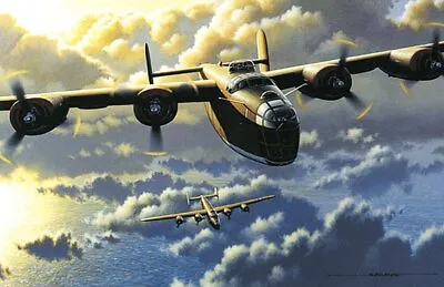  Liberators  Two WWII B-24Ds - Stan Stokes Aviation Art Print 11  X 16.5  • $20
