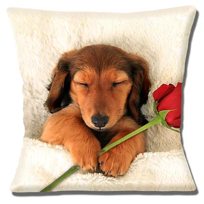 Dachshund Dog Cushion Cover 16 Inch 40cm Sleepy Tan Brown Long Hair Dog Red Rose • £10.95