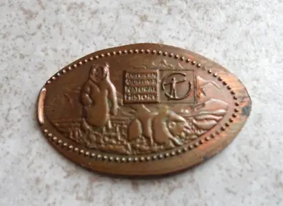 American Museum Of Natural History Elongated Penny NY USA Cent Bears Copper Coin • $1.99