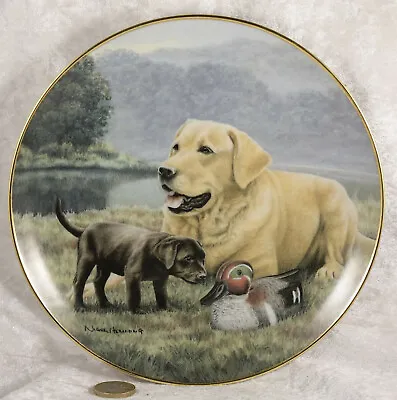 £5 • Buy Franklin Mint First Encounter By Nigel Hemming Plate  Labrador Retriever Dogs 