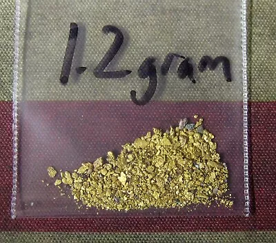 1.2 Grams Gold Dust/Nuggets Placer From Feather River Cal • $89.99