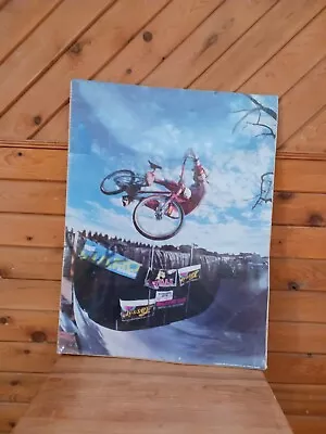 Mongoose Decade Pro Poster • $40