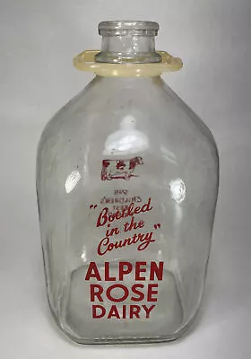 Vintage Alpen Rose Dairy Holstein Cow Gallon MILK BOTTLE Cottage Grove WI • $23.99