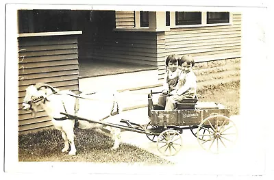 RPPC Postcard 2 Kids In Studebaker Goat Cart • $5.50