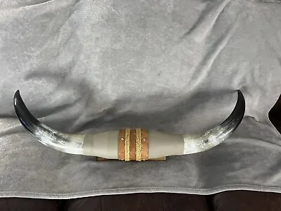 MOUNTED STEER BULL HORNS 38” TIP TO TIP COW BULL HORNS LONGHORN Vintage Set • $114.99