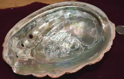 Large 7 Inch X 6 Inch Vintage Estate Red Abalone Shell Beautiful! • $29.99