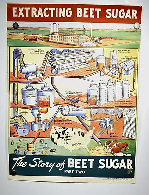 Educational Poster THe Story Of BEET SUGAR C1940s James Palmer Artist • $50