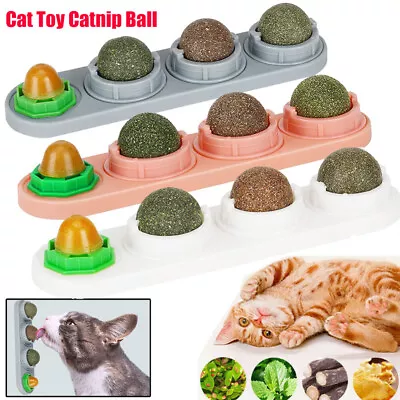 4in1 Cat Catnip Lick Ball Nutrition Help Digestion Teeth Clean Play Fun Mint Toy • $16.13