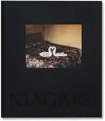 $63.52 • Buy Niagara By Alec Soth: New