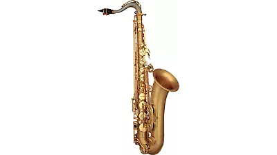 P. Mauriat LE Bravo Model Alto Saxophone - LEBRAVO200A - Gold Lacquer • $2879