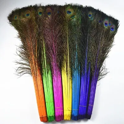 Long Colourful Peacock Eye Feathers 28 - 32 Inches Craft Home Decorations Art UK • £5.75