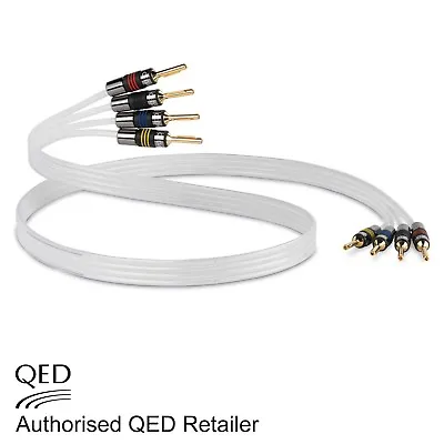 QED Silver Anniversary XT BI-WIRE Cable 4+4 AIRLOC Forte Plugs Fitted 1 X 3m • £89.95