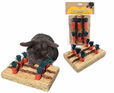 Rosewood Boredom Breaker Carrot Play Patch Rabbit Guinea Pig Hutch Cage Chew Toy • £12.99