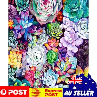 Succulents 40x50cm Oil Paint By Numbers DIY Painting M682 • $13.49