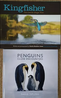 Penguins: Close Encounters: David Tipling & Kingfisher Charlie Hamilton James • £11.99