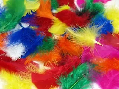 Coloured Fluffy Feather Art Craft Easter Hat Costume Millinery Card Scrapbook BN • £2.99