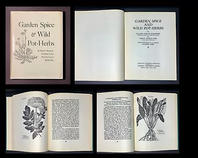 1950s Vintage Book HERBS Spices IDENTIFICATION Gardening COOKING Medicinal HCDJ • $60