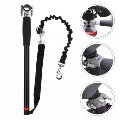  Dog Walking Leash Pet Pulling Rope For Bike Riding Nylon Pirate Costume • £52.99