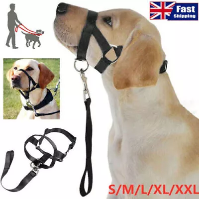 Halti Head Collar Dog Training Obedience Stop Pulling On Lead No Pull Solution • £5.59