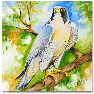  Falcon 18  ORIGINAL PAINTING Marcia Baldwin       • $850