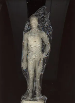  The Acupuncture Man: Plastic Figure Indicating Acupuncture Points + Chart/rare  • $99