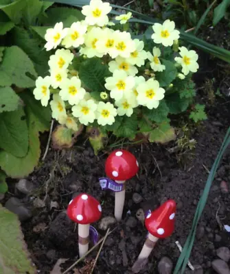 Set Of 3 Mini Garden Toadstools Ceramic Mushrooms Fairy Decoration 13 Cms • £9.99