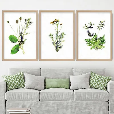 Framed Set Of 3 Yellow Green Floral Leaves Gold Effect Wall Art Print Picture • £259
