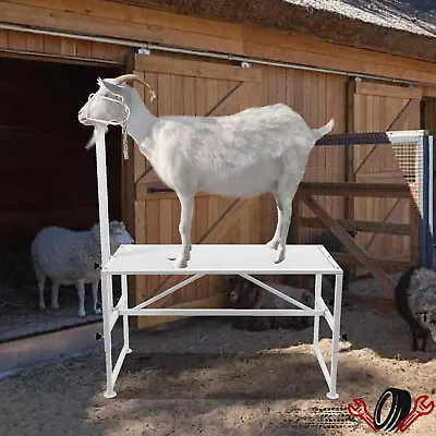 Livestock Stand Trimming Stand 51'' X 23'' Adjustable Livestock Stands For Goats • $106.50