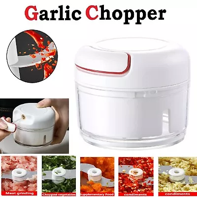 Manual Garlic Chopper Mini Electric Food Crusher Fruit Vegetable Grinder Blender • $16.49