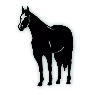H QUARTER HORSE Decal For Your Tack Box Farm Ranch Truck Or Trailer BLACK • $9.93